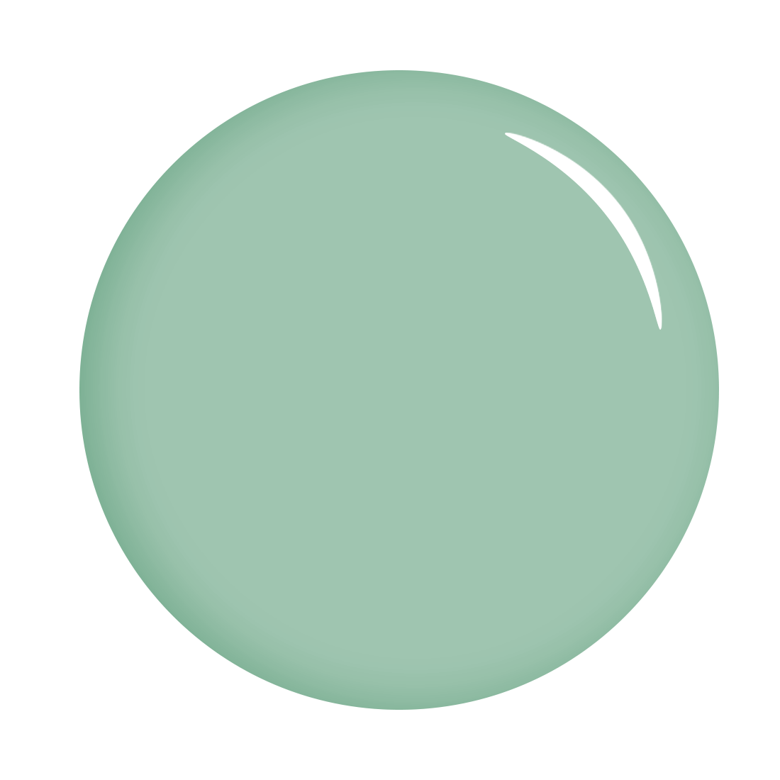 The Gel Expert Gel Polish - Mint